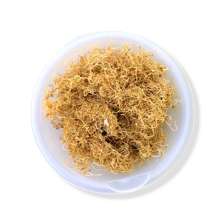Sea Moss