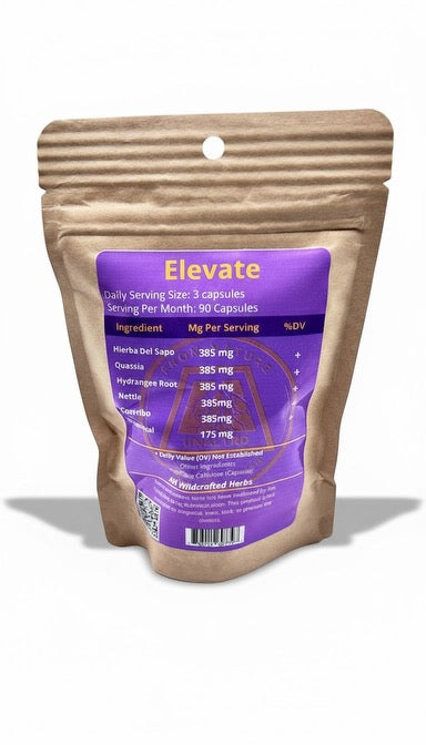 Elevate Cell Energizer (Lymphatic)