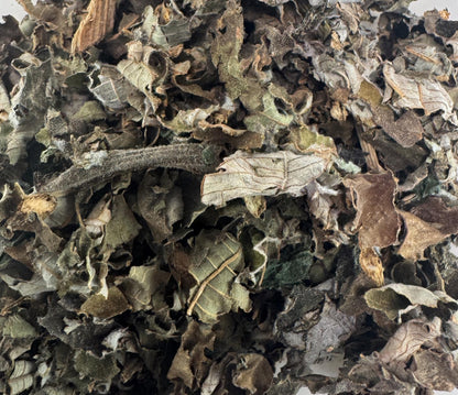 Cablote Herb Tea & Poultice- Guazuma ulmifolia Leaves and Fruit Pods