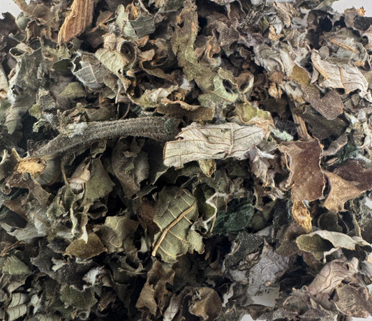 Cablote Herb Tea & Poultice- Guazuma ulmifolia Leaves and Fruit Pods