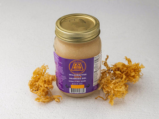 Wildcrafted Gold Sea Moss Gel (Chondrus Crispus)