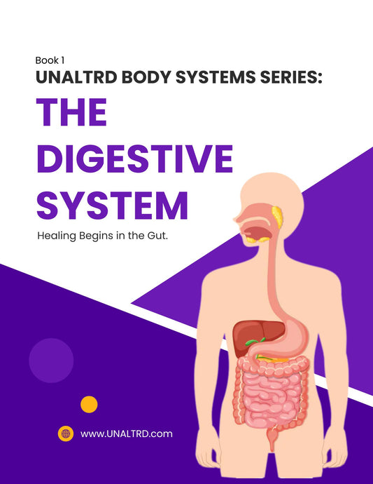 Understanding the Digestive System – Unaltrd Body Systems Series