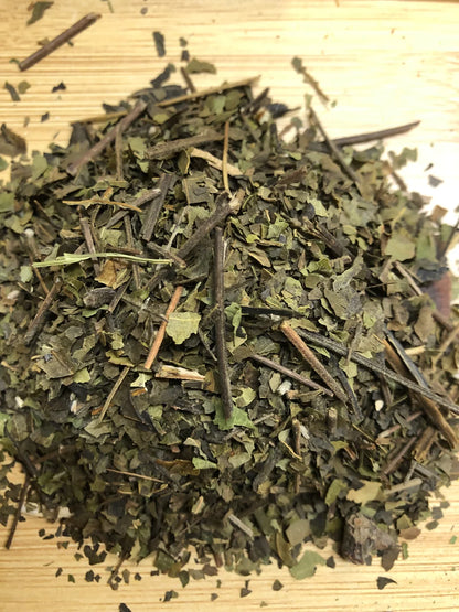 Black Walnut Leaf (Juglans nigra) – Skin, Digestive & Herbal Cleansing Support