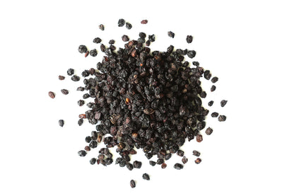 Elderberry (Sambucus nigra) – Immune & Antioxidant Herbal Support
