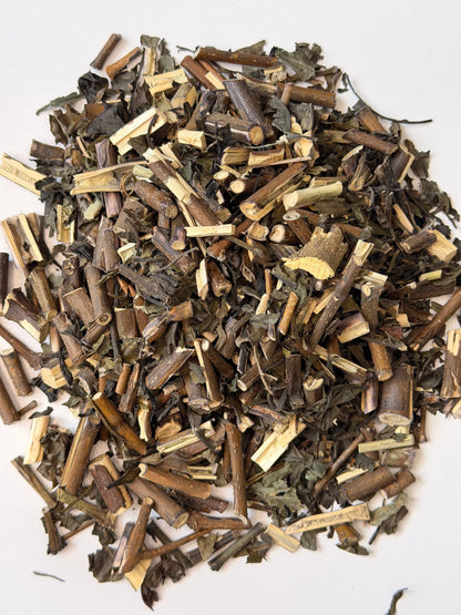 Muicle Herb (Justicia spicigera) – Women's & Antioxidant Herbal Support