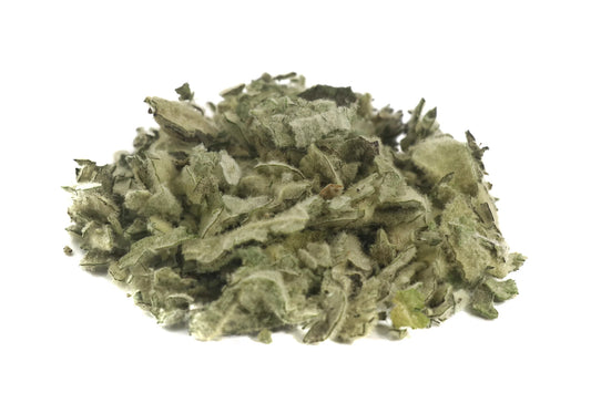 Mullein Leaf (Verbascum thapsus) – Lung & Respiratory Herbal Support