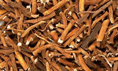 Sarsaparilla Root – Traditional Root Tonic & Vitality Support