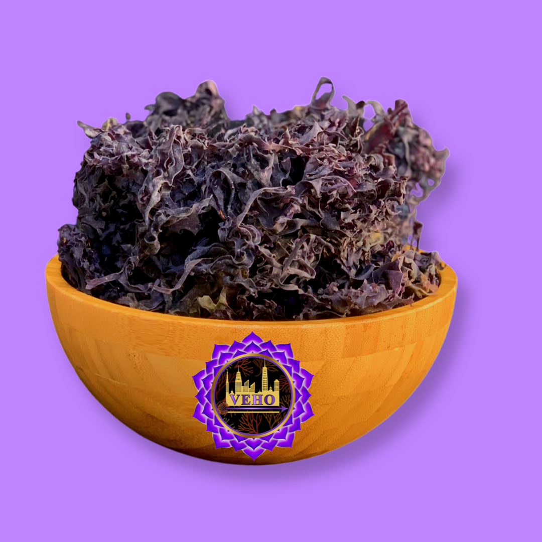 Wildcrafted Purple Sea Moss (Chondrus Crispus)