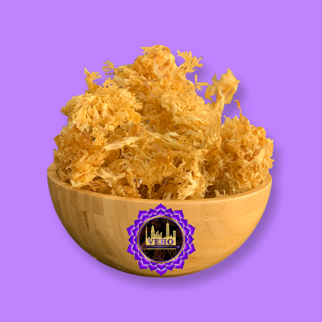 Wildcrafted Gold Sea Moss Gel (Chondrus Crispus)